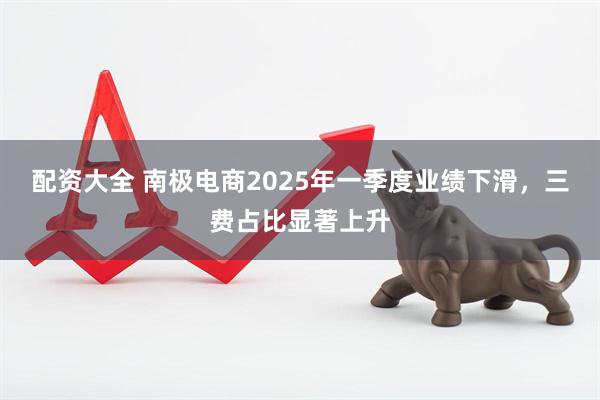 配资大全 南极电商2025年一季度业绩下滑，三费占比显著上升