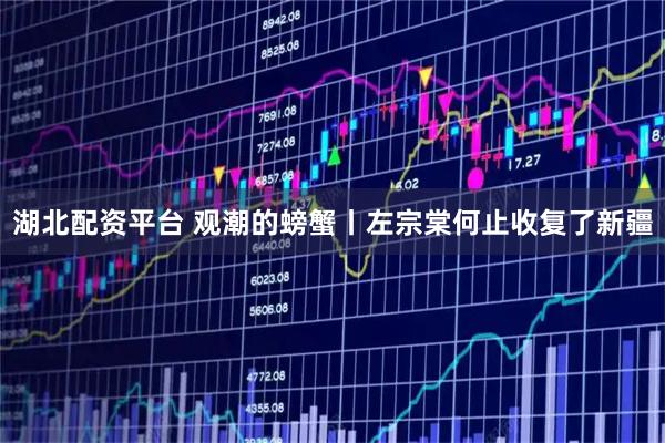 湖北配资平台 观潮的螃蟹丨左宗棠何止收复了新疆