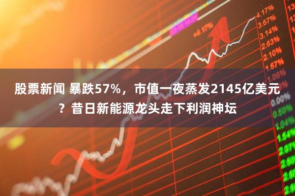 股票新闻 暴跌57%，市值一夜蒸发2145亿美元？昔日新能源龙头走下利润神坛