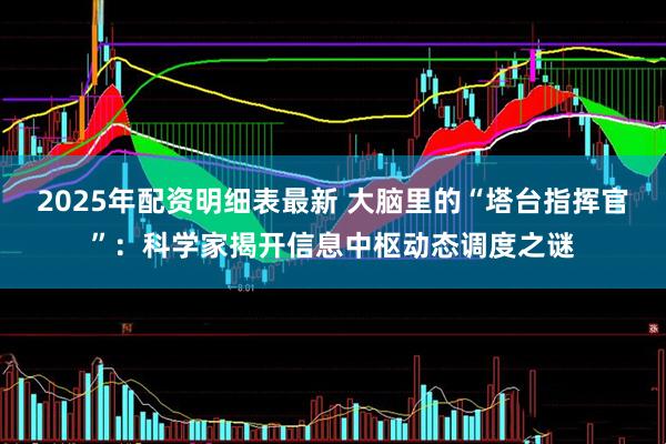 2025年配资明细表最新 大脑里的“塔台指挥官”：科学家揭开信息中枢动态调度之谜